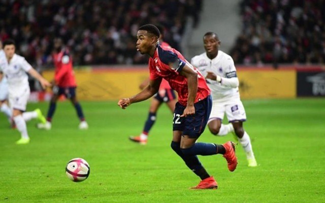 显得多么诡 显得多么诡